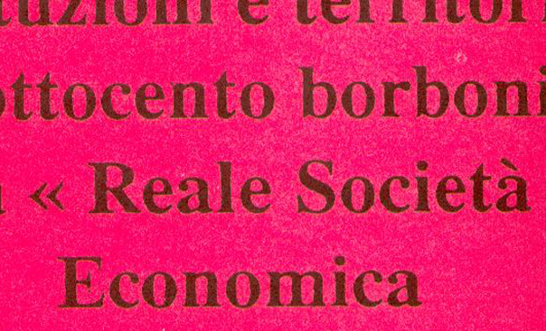  Istituzioni e territorio nell’Ottocento borbonico: la “Reale Società Economica di Principato Ultra”